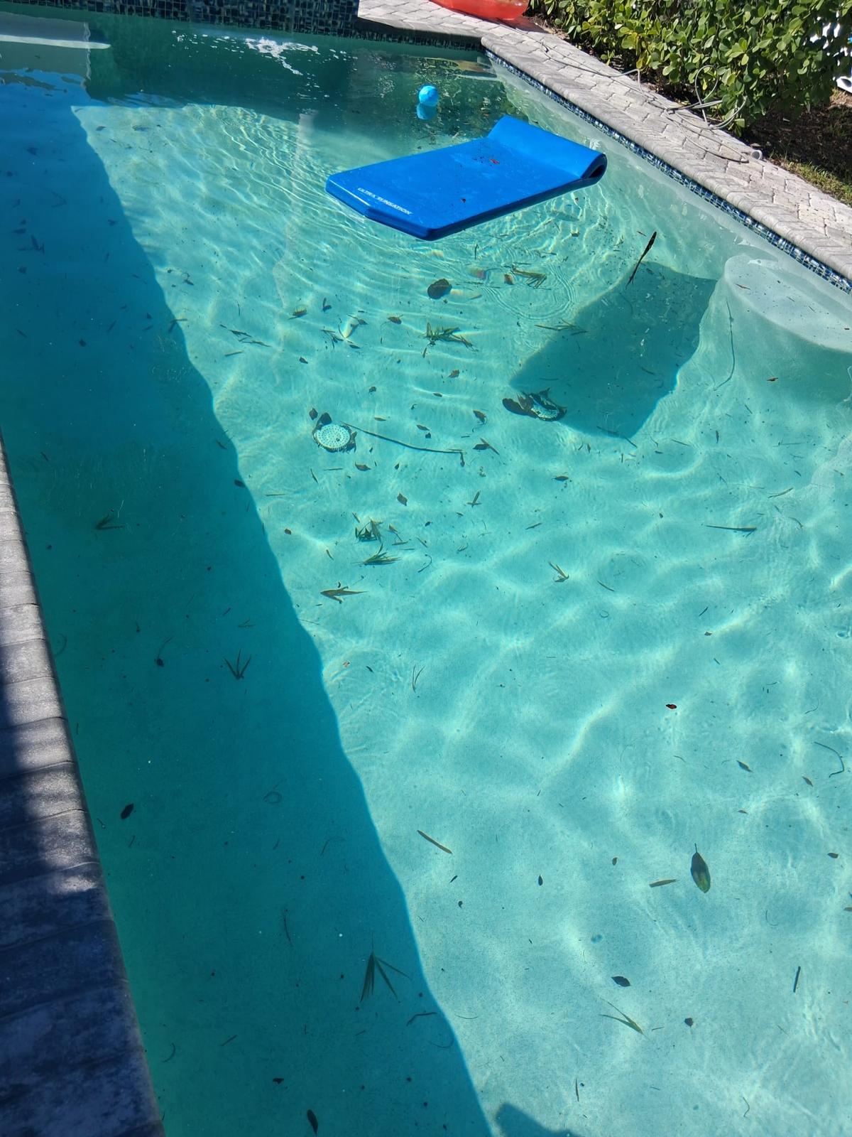 Piscina con desechos y hojas en el fondo