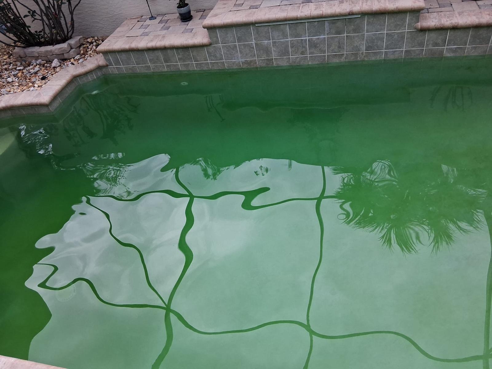 Piscina completamente verde antes del tratamiento