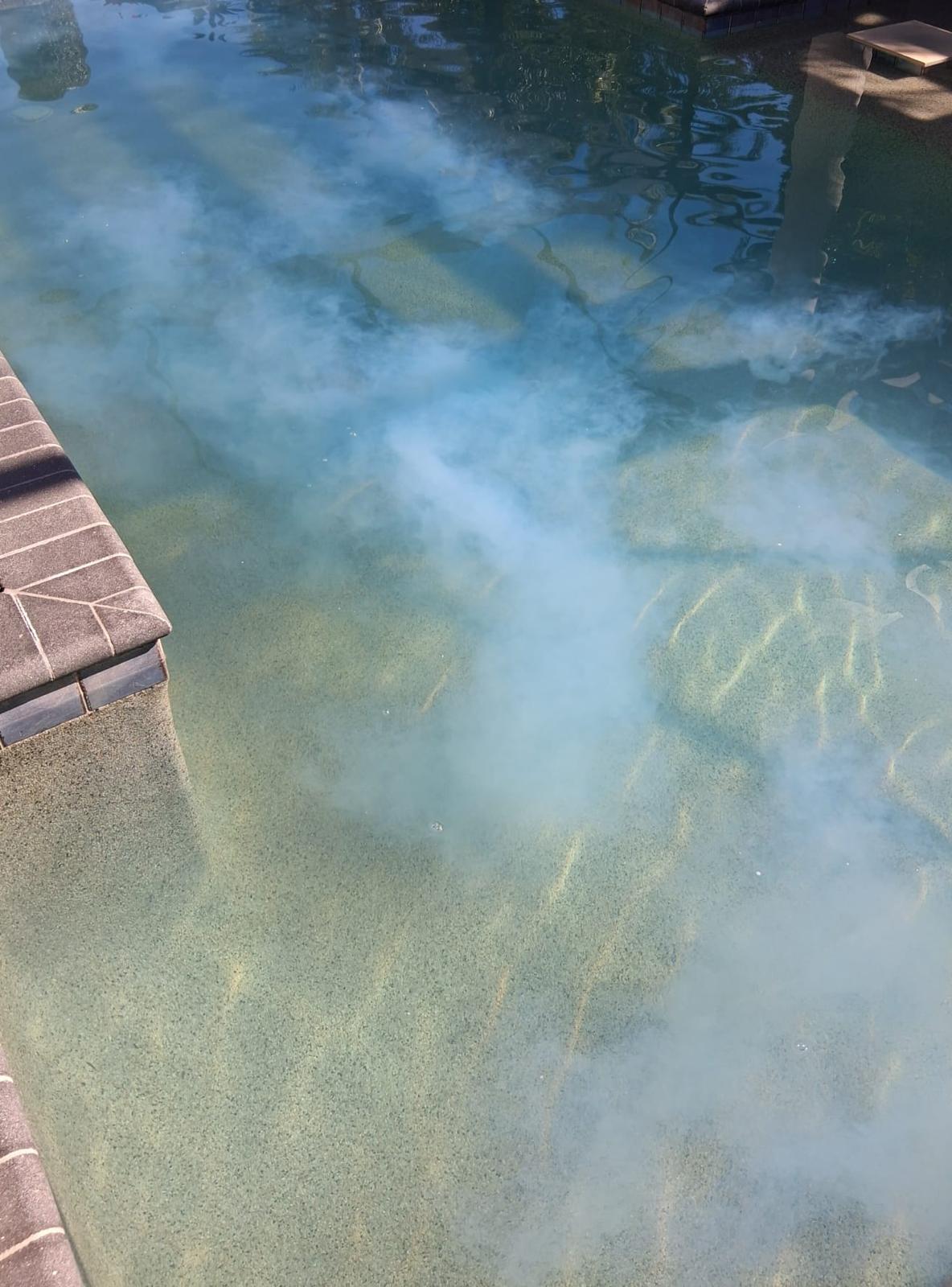 Piscina con algas densas antes del rescate